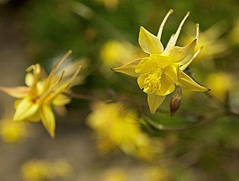 《恐龙浩劫》新实机演示 介绍特殊任务与敌方小队合作